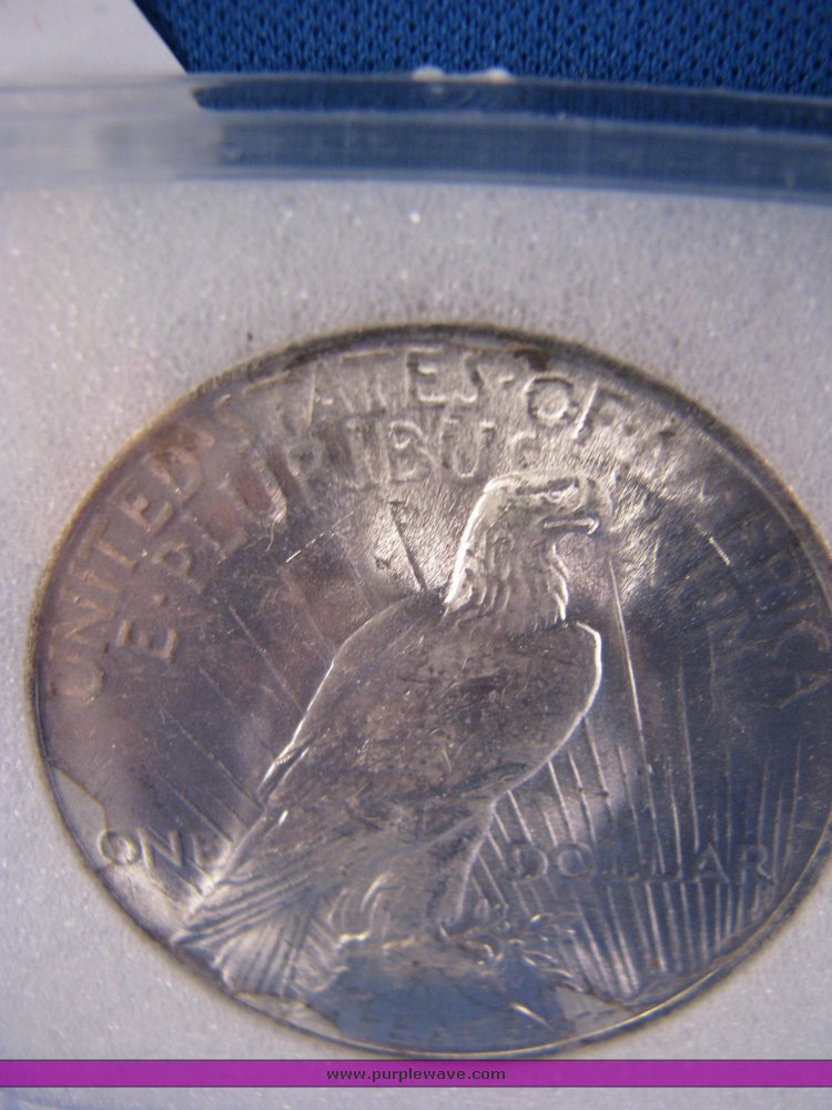 image for item 7032 1923 Peace $1 MS66 NNC