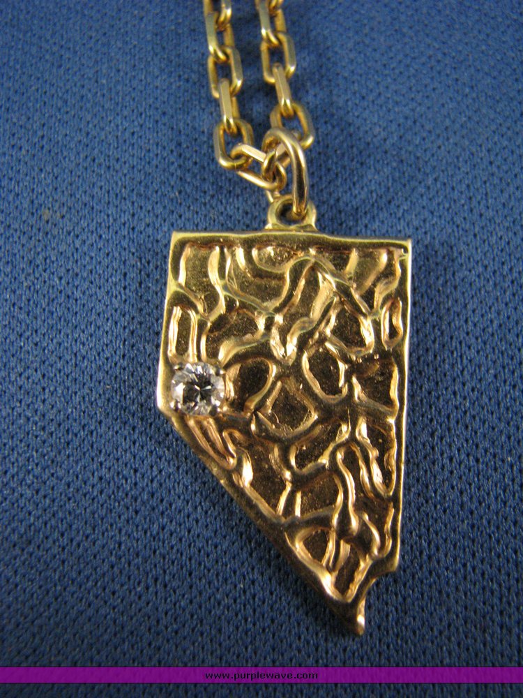 image for item 3156 Nevada pendant and chain