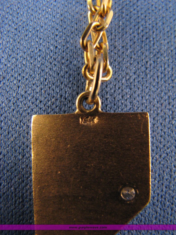 image for item 3156 Nevada pendant and chain