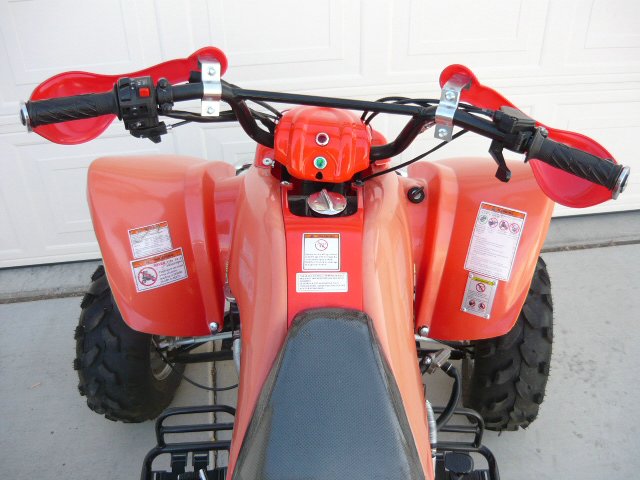 image for item 2000 2008 Ice Bear 250cc ATV