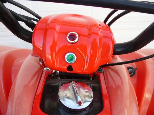 image for item 2000 2008 Ice Bear 250cc ATV