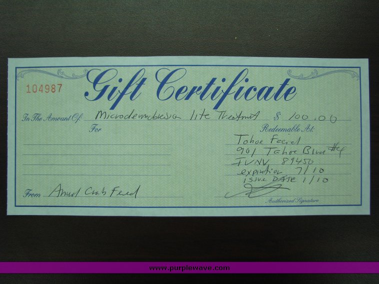 image for item 2014 Microdermabrasion Lite Treatment