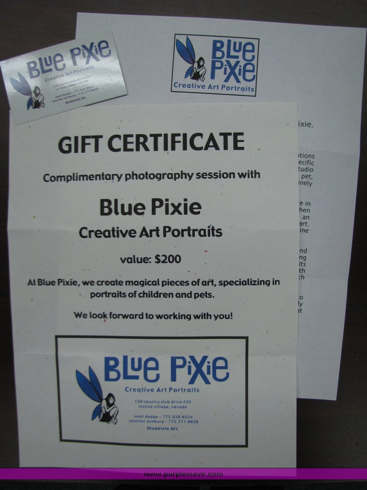 image for item 2039 Photo Session with Blue Pixie Creative Art Portraits