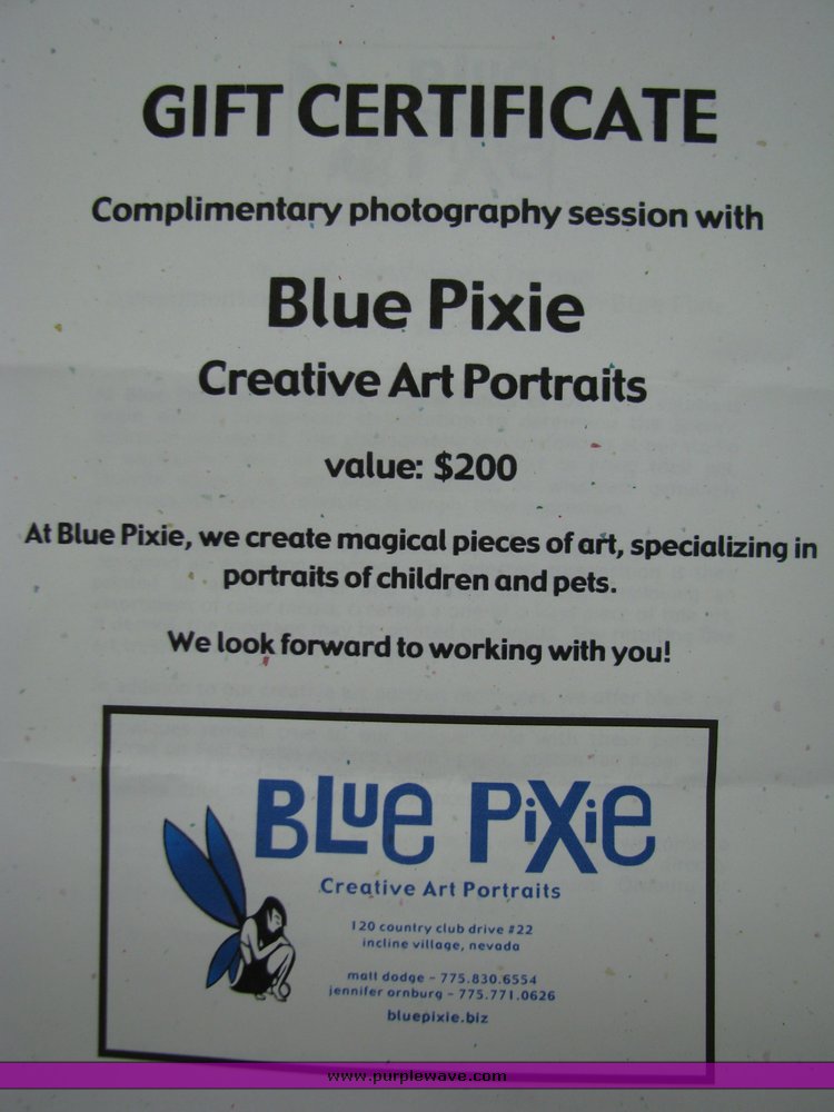 image for item 2039 Photo Session with Blue Pixie Creative Art Portraits