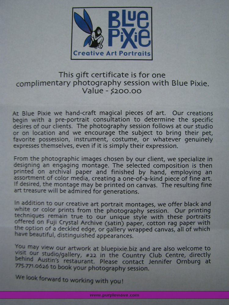 image for item 2039 Photo Session with Blue Pixie Creative Art Portraits