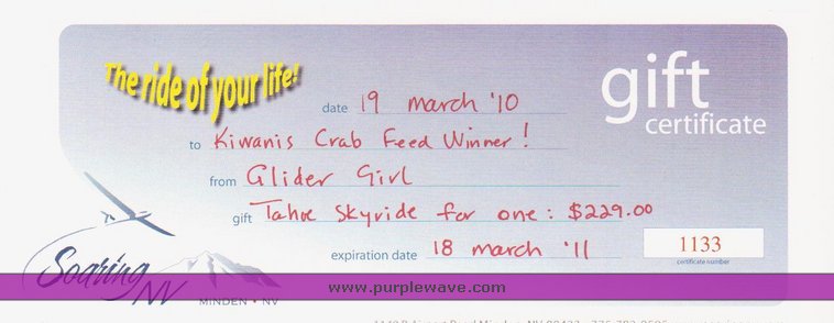 image for item 2047 Glider Skyride for 1